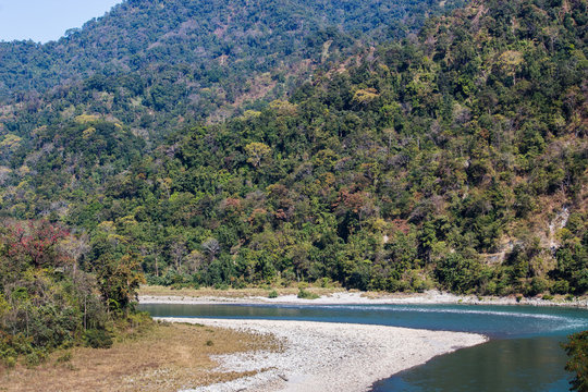 Lush green tiger reserve with rare species