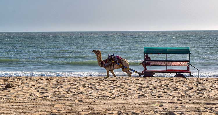 Quiet sands and clear waters of Mandvi Beach in Gujarat