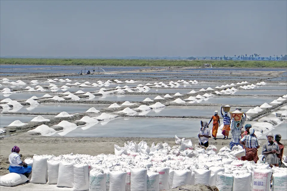 Shimmering salt pans showcasing traditional harvesting near Puducherry