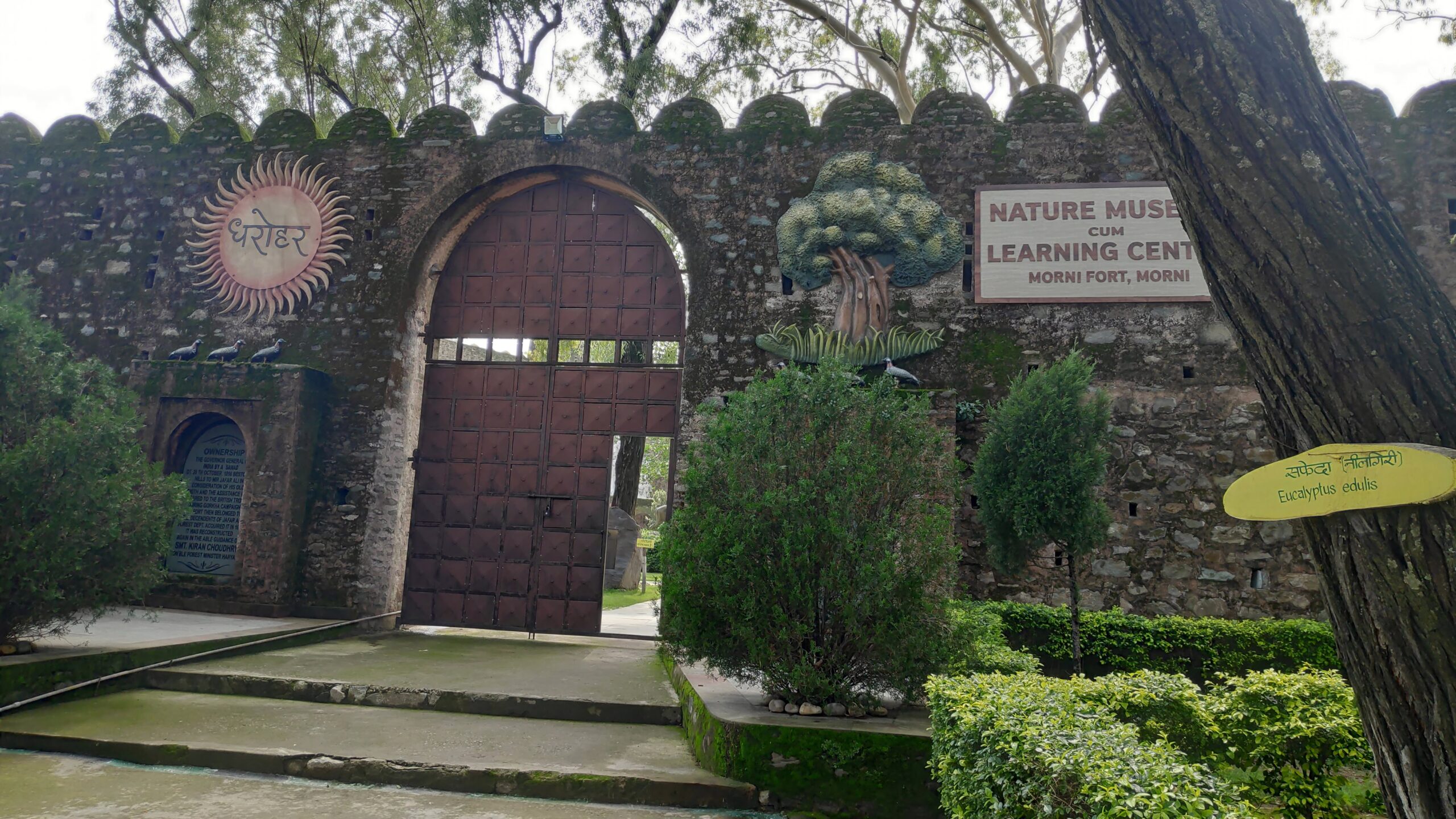 Historic Morni Fort near Chandigarh with panoramic valley views