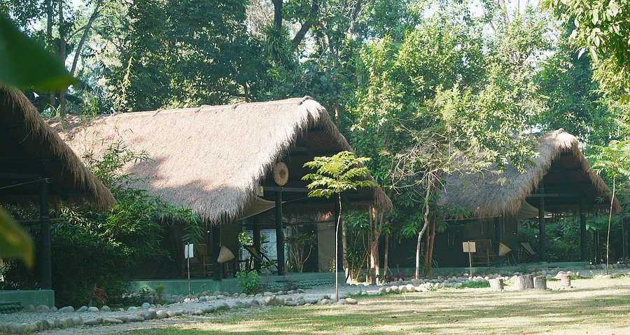 Jungle stay near river Jia Bhoroli