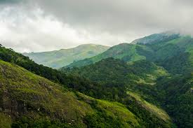 Cloud-covered plantations and valleys at Nelliyampathy in Kerala.