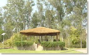 Nepli Reserve Forest near Chandigarh with dense greenery and wildlife trails