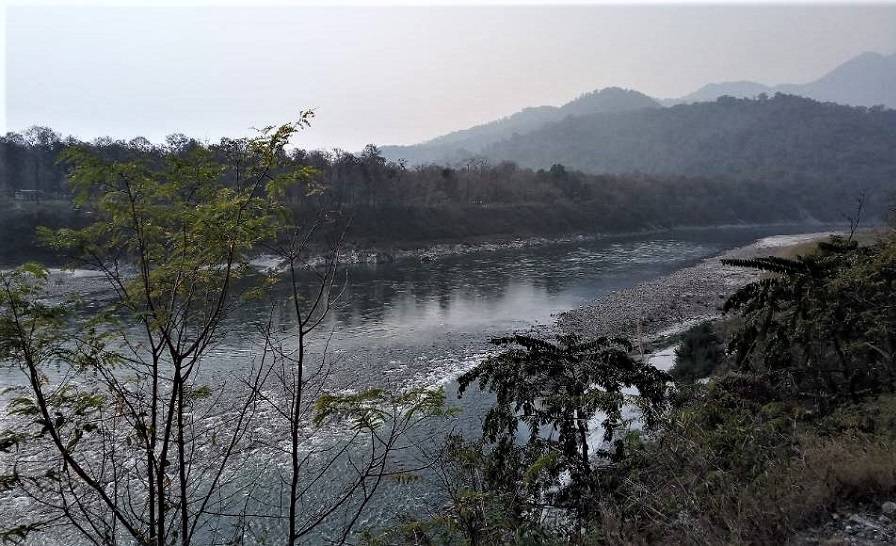 At Ntangki National Park, discover rare places to visit in Nagaland where clouded leopards roam freely.