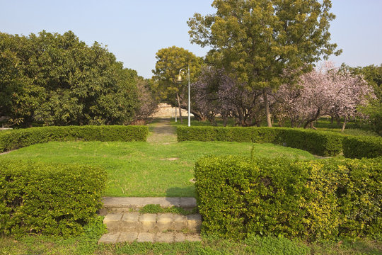 Mughal terraced gardens among most beautiful places to visit in Haryana