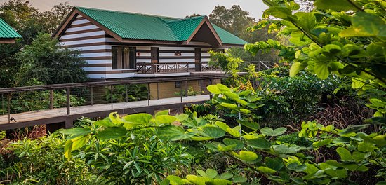 Eco-friendly bamboo cottages on a secluded island in the Tapti River, perfect for a quiet retreat."