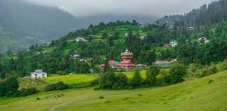 Stone cottages and pine landscapes in Sainj Valley, Himachal Pradesh