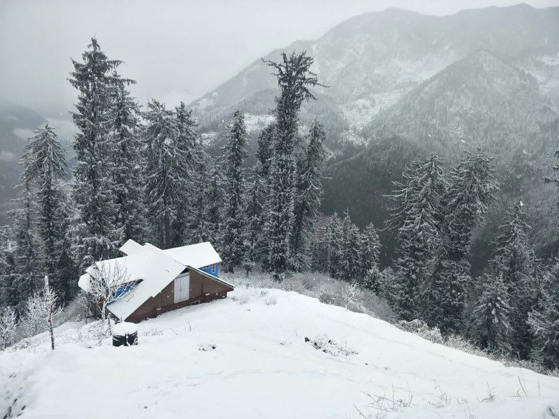 Pine forests and misty hills of Shoja, Himachal Pradesh