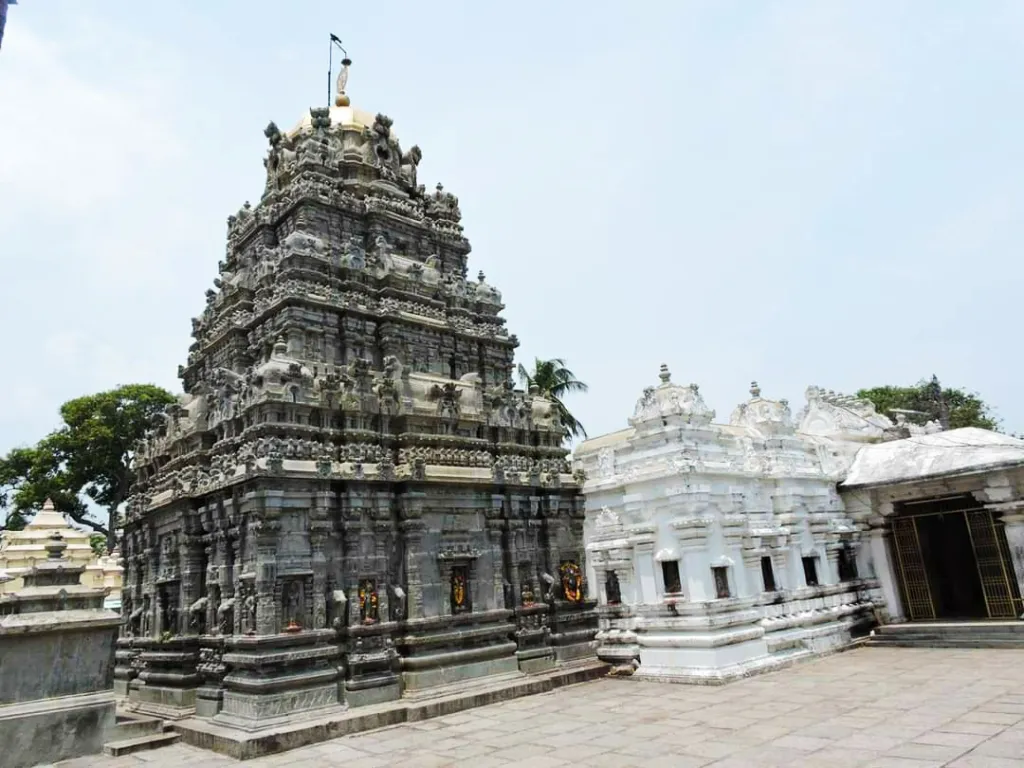 Srikurmam Temple, a unique shrine dedicated to Lord Vishnu in turtle form.