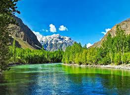 Green landscapes of Suru Valley with snowy peaks in Ladakh.