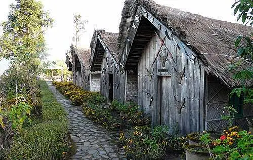 Tuophema's traditional homestays offer authentic places to visit in Nagaland for cultural immersion