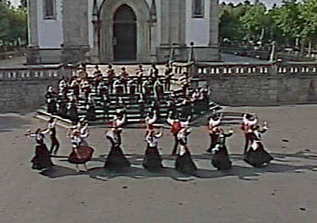 Vira dance performed in traditional attire during a Daman and Diu celebration.