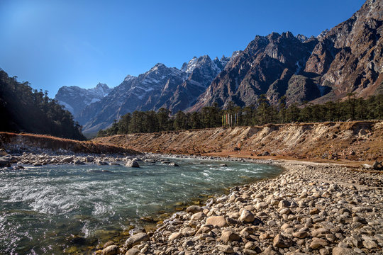 Yumthang Valley, among the most beautiful places to visit in Sikkim, famous for rhododendron blooms and hot springs.