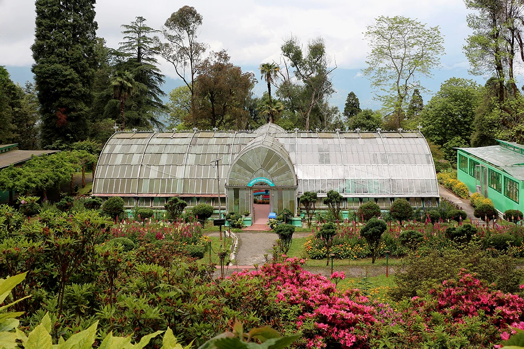 A beautiful garden