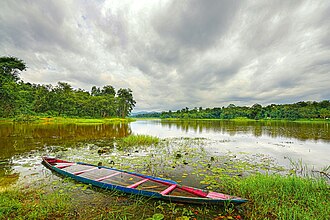 A place perfect for picnic.