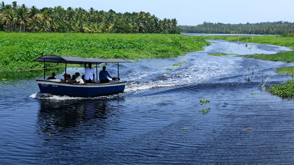 Tranquil Places to Visit in Thiruvananthapuram feature this peaceful backwater spot ideal for boating and picnics.