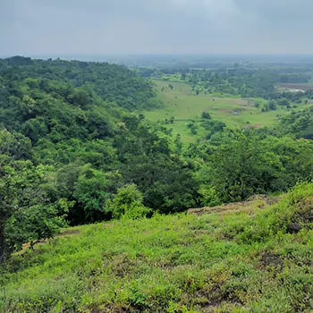 A nature-filled place to visit near Hyderabad, with waterfalls and trekking trails.