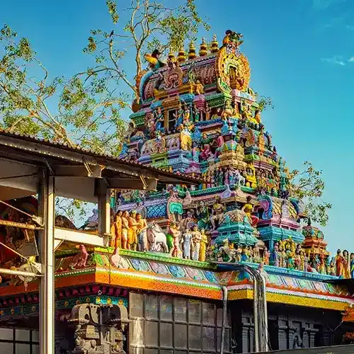 Sacred Places to Visit in Thiruvananthapuram highlight this temple that hosts the world's largest annual women's gathering.