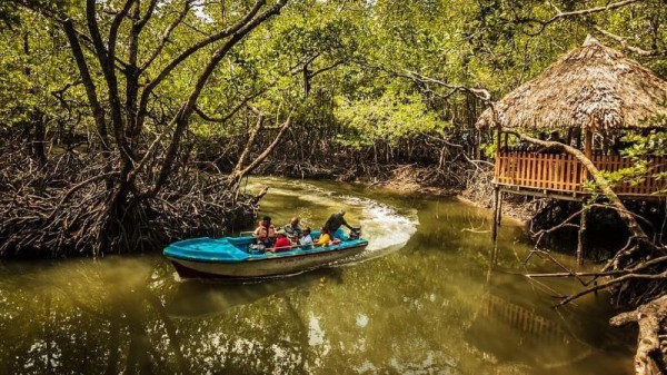 An adventurous place to visit in Andaman, features limestone caves, mud volcanoes, and thrilling mangrove boat rides.
