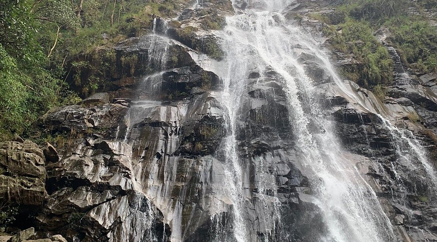 Water cascading down moss-covered rocks at Bee Falls