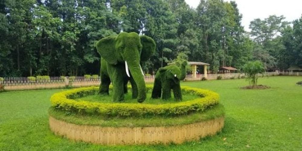 Birsa Zoo, a wildlife place to visit in Ranchi with diverse animal species