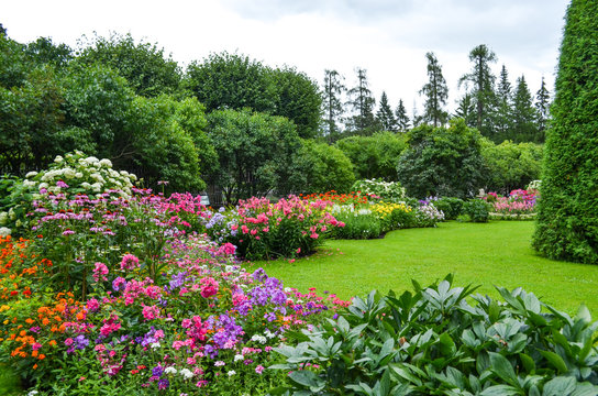 "Lush greenery and vibrant flowers at Ooty Botanical Gardens, featured on Ooty City Page.
