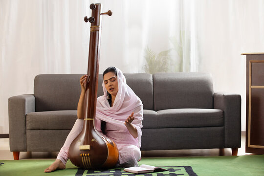 Artist playing veena at an Ooty concert, showcased on Ooty City Page.