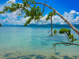 A birdwatcher’s place to visit in Andaman, offers exotic bird species, forest treks, and mesmerizing sunset views over the Bay of Bengal.