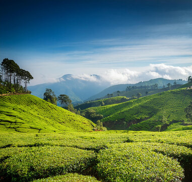 A charming nearby hill station and one of the best places to visit in Ooty’s surrounding region.