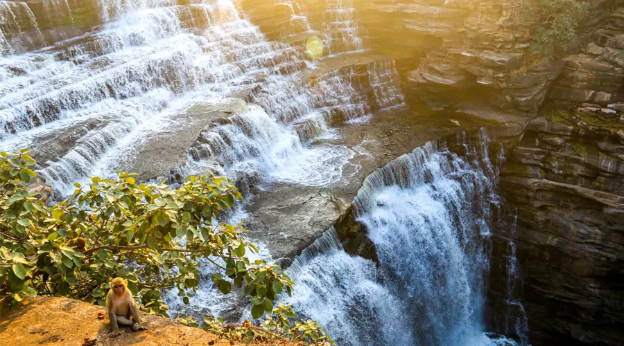 City Page Thiruvananthapuram: Twin waterfalls cascading through lush forests near Thiruvananthapuram.