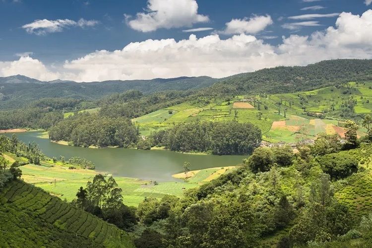 Panoramic view from Doddabetta Peak, the highest point on Ooty City Page.