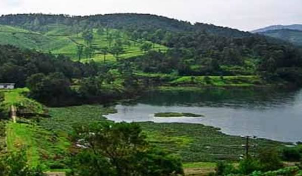 A quiet viewpoint with spectacular sunrise views over rolling tea plantations.