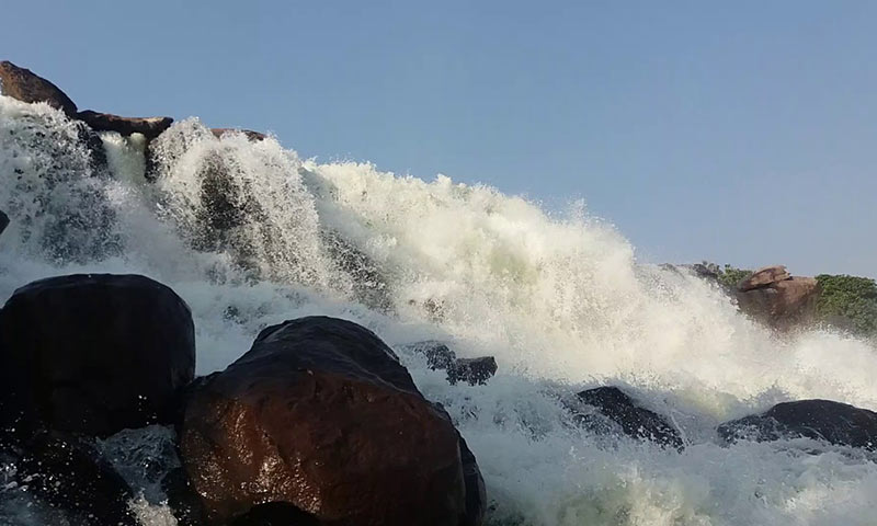 Tranquil waters of Halali Dam surrounded by forests
