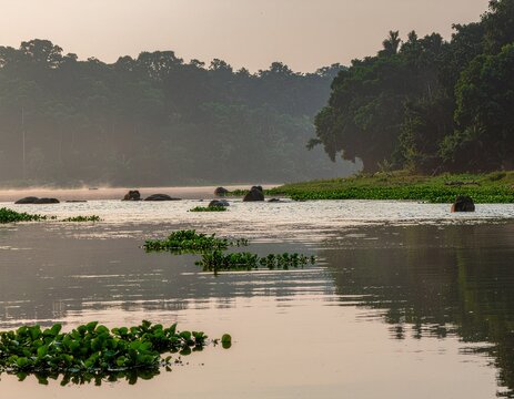 A serene riverside retreat known for wildlife safaris.