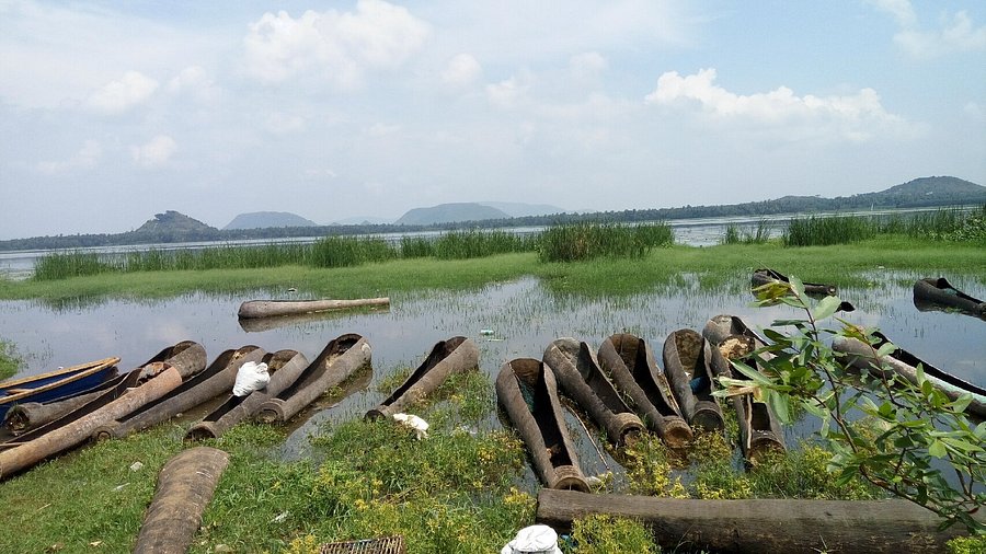 Hidden gem in Visakhapatnam: Kondakarla Ava lake’s birdwatching and tranquil boat rides.