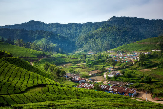 Lesser-known hill station Kotagiri, a quiet retreat near Ooty City Page.