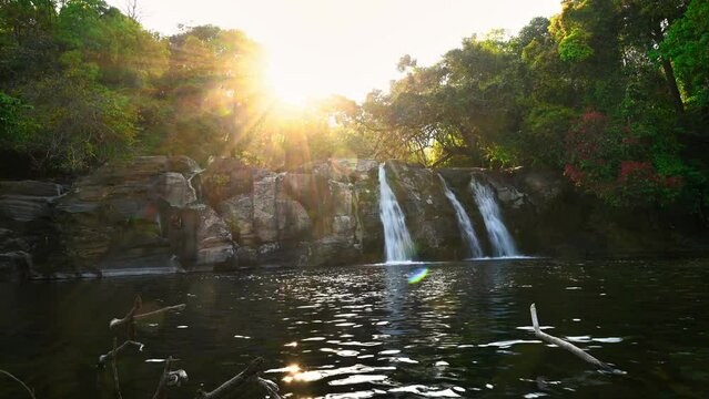 The Coorg City Page showcases hidden Kote Abbe waterfall amid dense coffee plantations