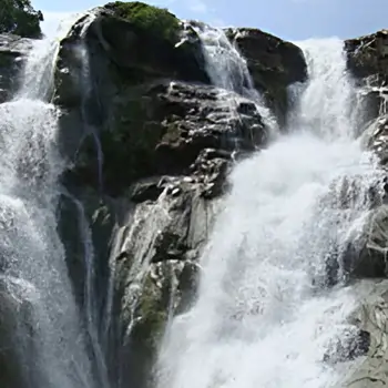Telangana’s highest waterfall, nestled in dense forests.
