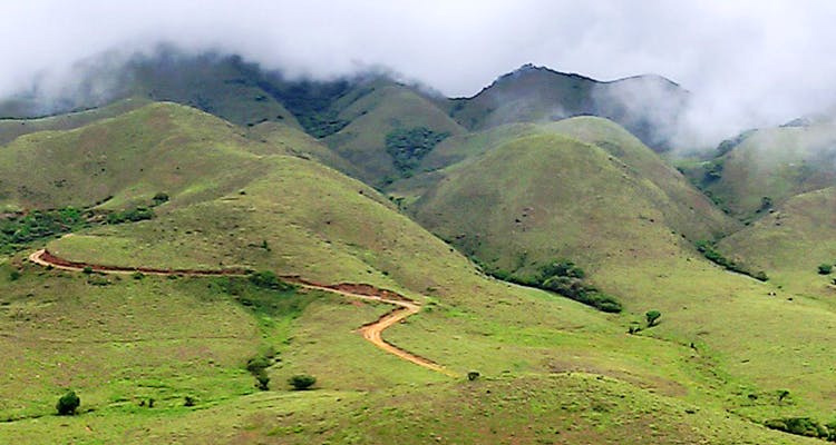 A nature lover’s paradise among places to visit near Ooty, home to the Nilgiri Tahr.