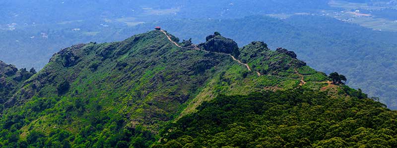A dramatic rock formation offering sweeping views of tea estates and valleys.