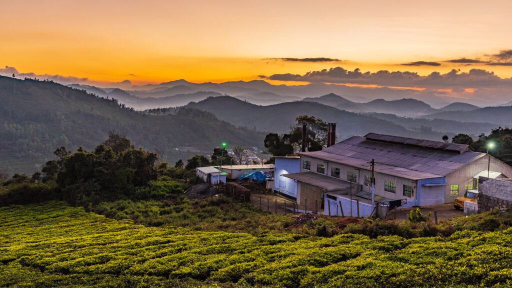 Scenic view of Ooty hill station with misty mountains, tea plantations, and colonial architecture in Tamil Nadu