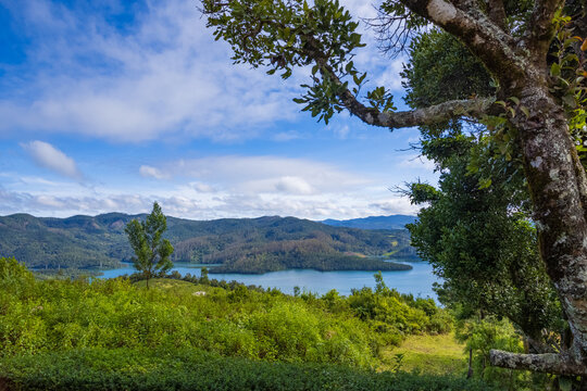 A must-see among places to visit in Ooty, this serene lake offers boating and picturesque views.