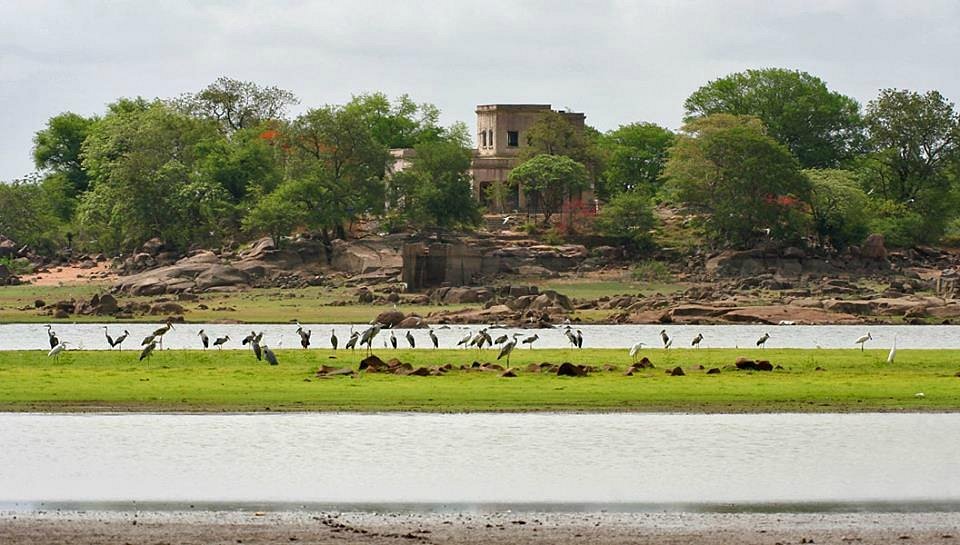 A serene place to visit near Hyderabad, home to leopards and migratory birds.