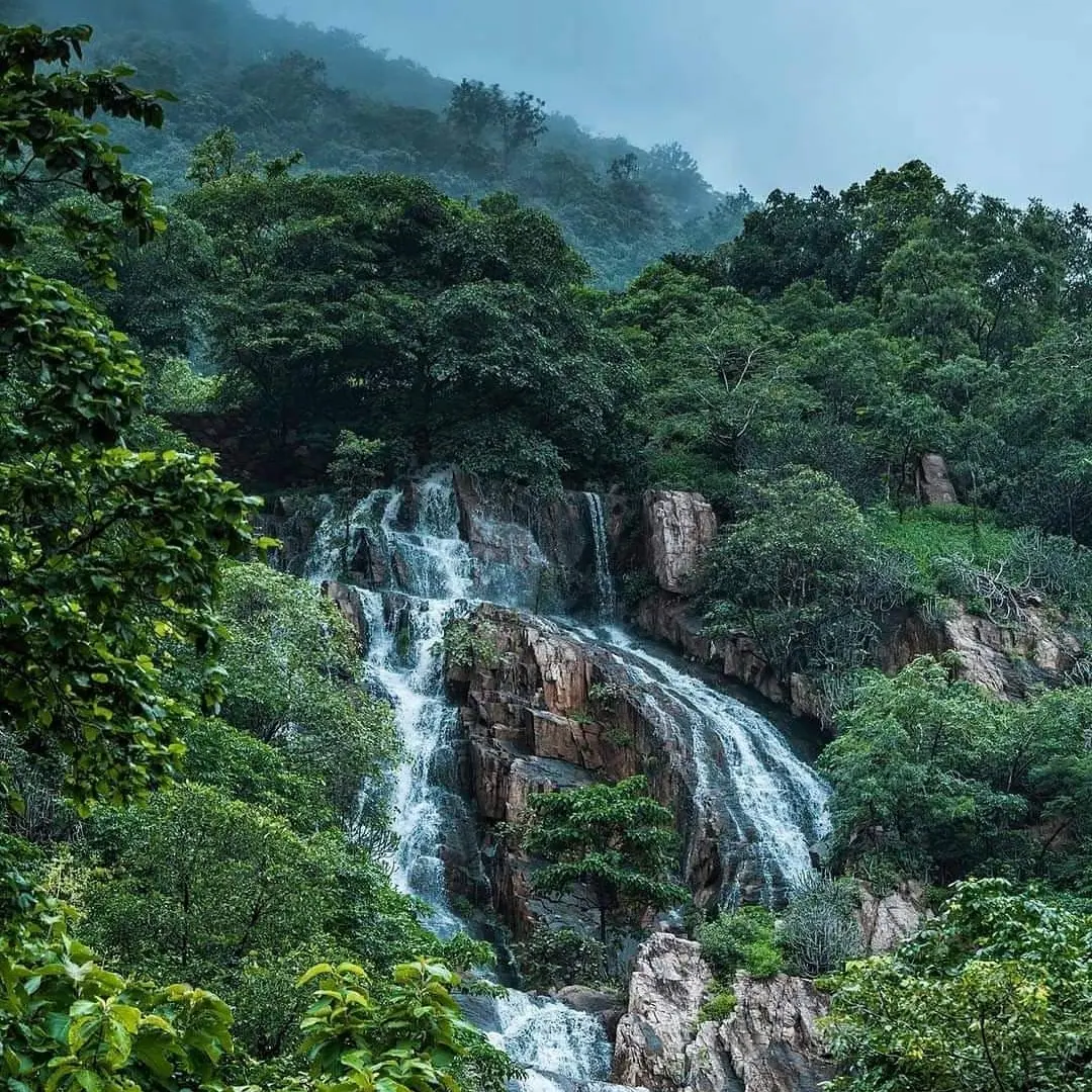 Ruins and greenery at Polo Forest Gujarat