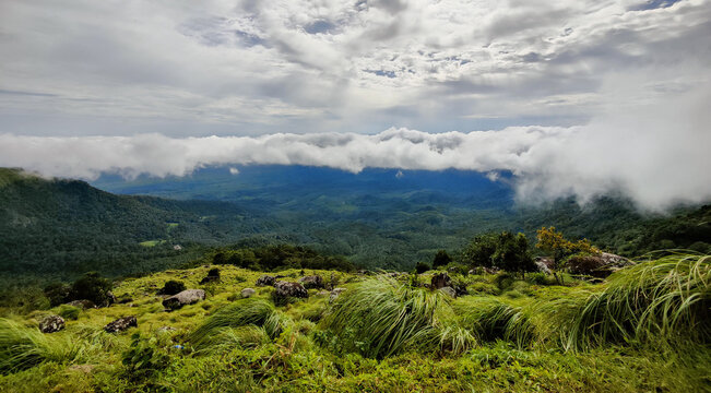 Scenic Places to Visit in Thiruvananthapuram extend to these misty hills with winding roads and tea plantations.