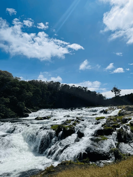 Pykara’s tranquil lake and cascading waterfalls, must-visit on Ooty City Page.