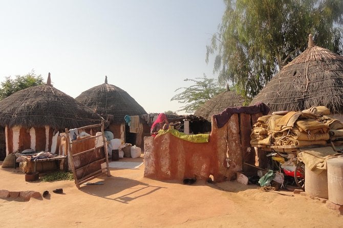Artisan weaving durries at Salawas Village near Jodhpur.