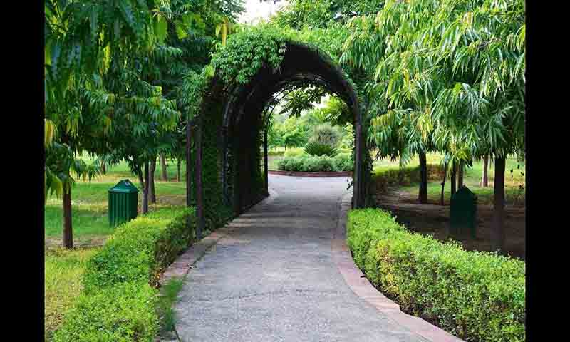 Tau Devi Lal Park Gurugram natural walking trails