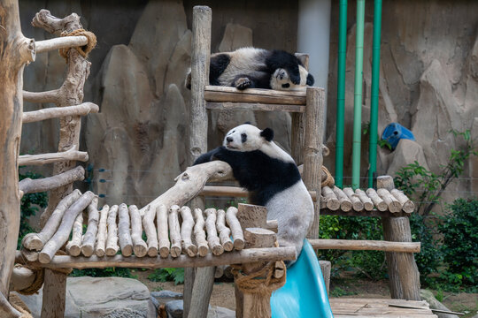 Places to Visit in Thiruvananthapuram must include this 140-year-old zoological park with rare species and lush green landscapes.