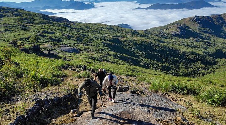 Forest trails and wildlife spotting at Kambalakonda, an eco-adventure on our city page Visakhapatnam.